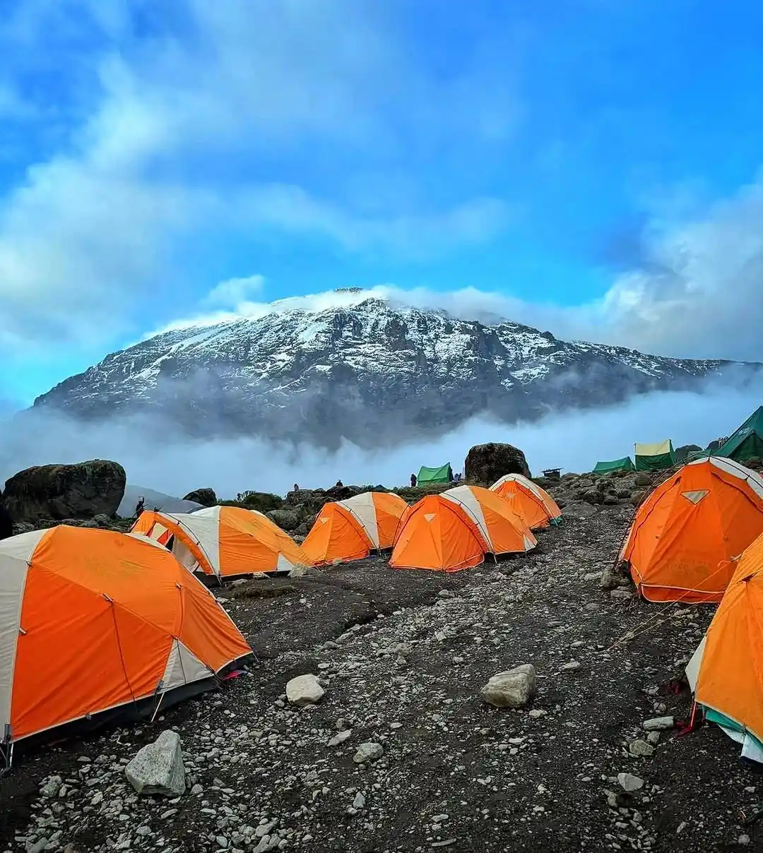 Successful Kilimanjaro Climbing