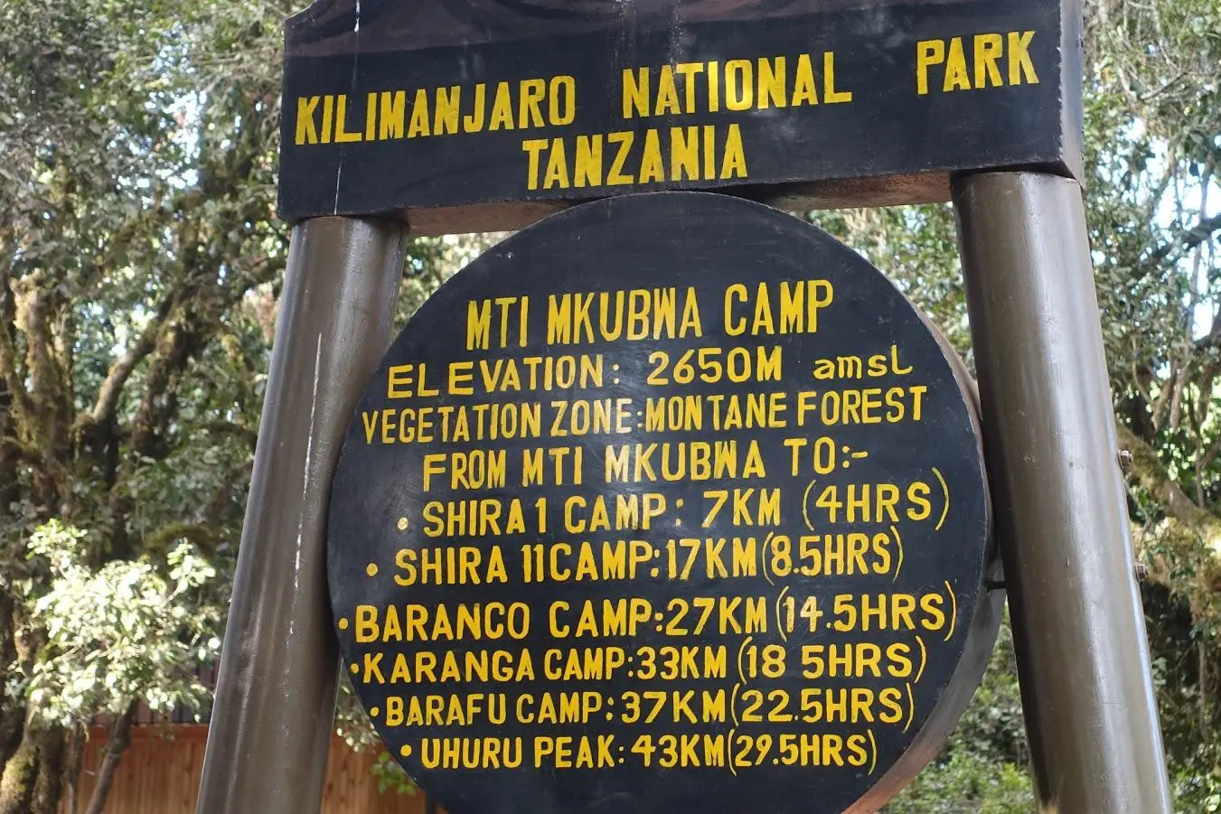 Mti Mkubwa Camp Detail