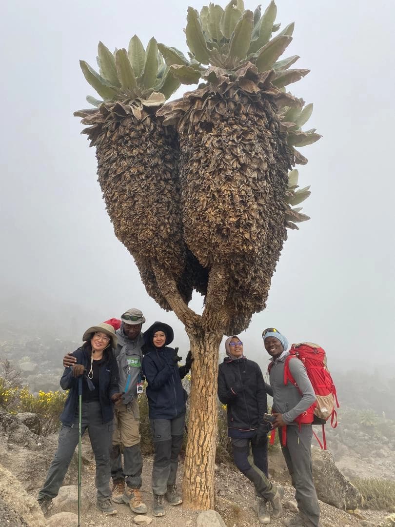 Kilimanjaro Summit Trek