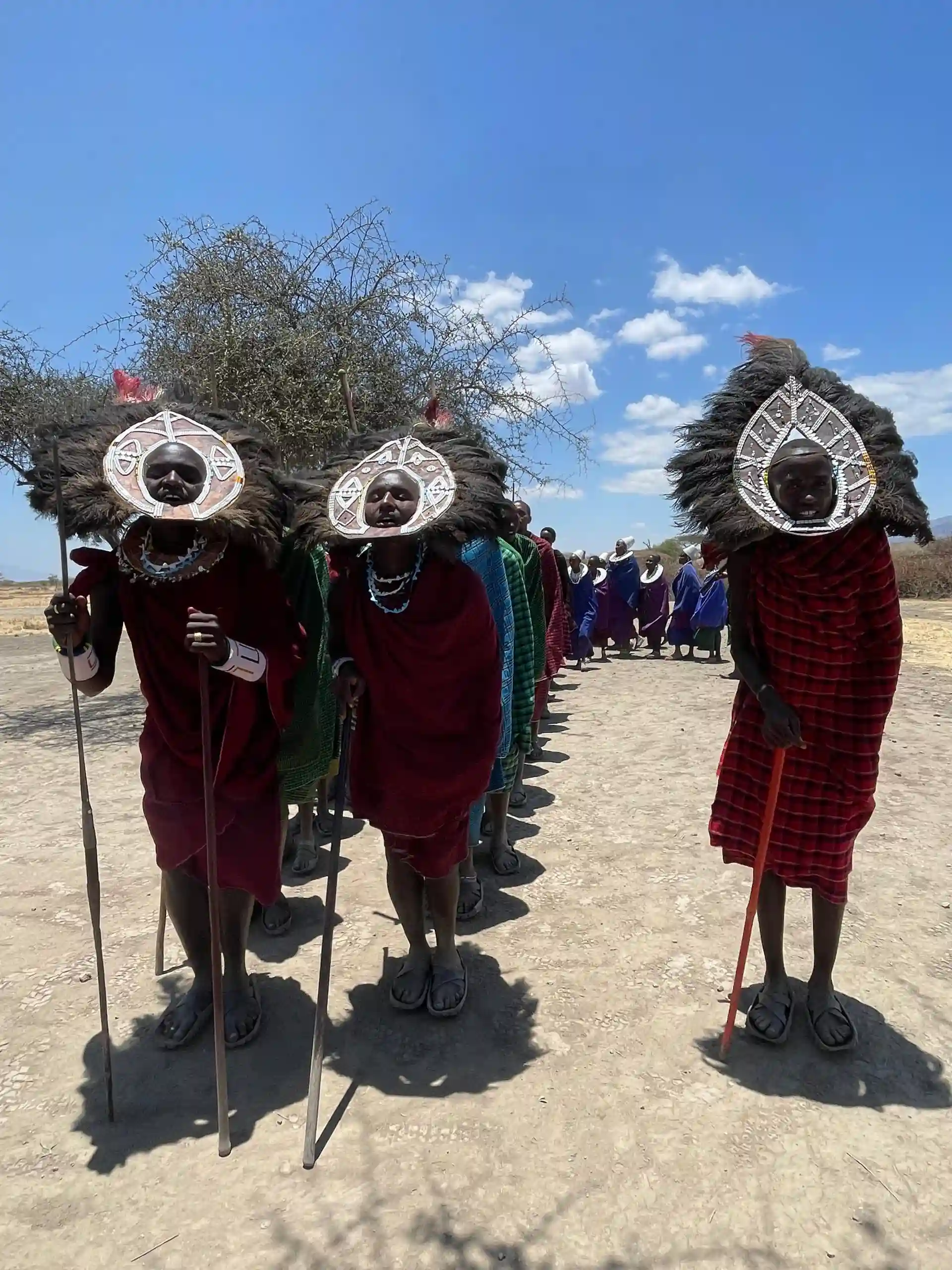 Giraffe, Cultural & Savanna Immersion